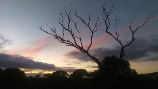 What feeling ugly has taught me about beauty